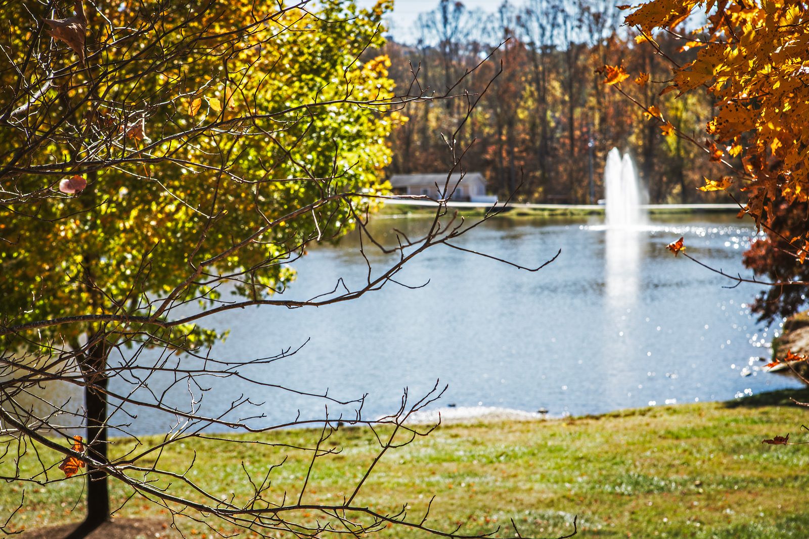Lake Louise Park in Weaverville, North Asheville, with its fountain and fall foliage
