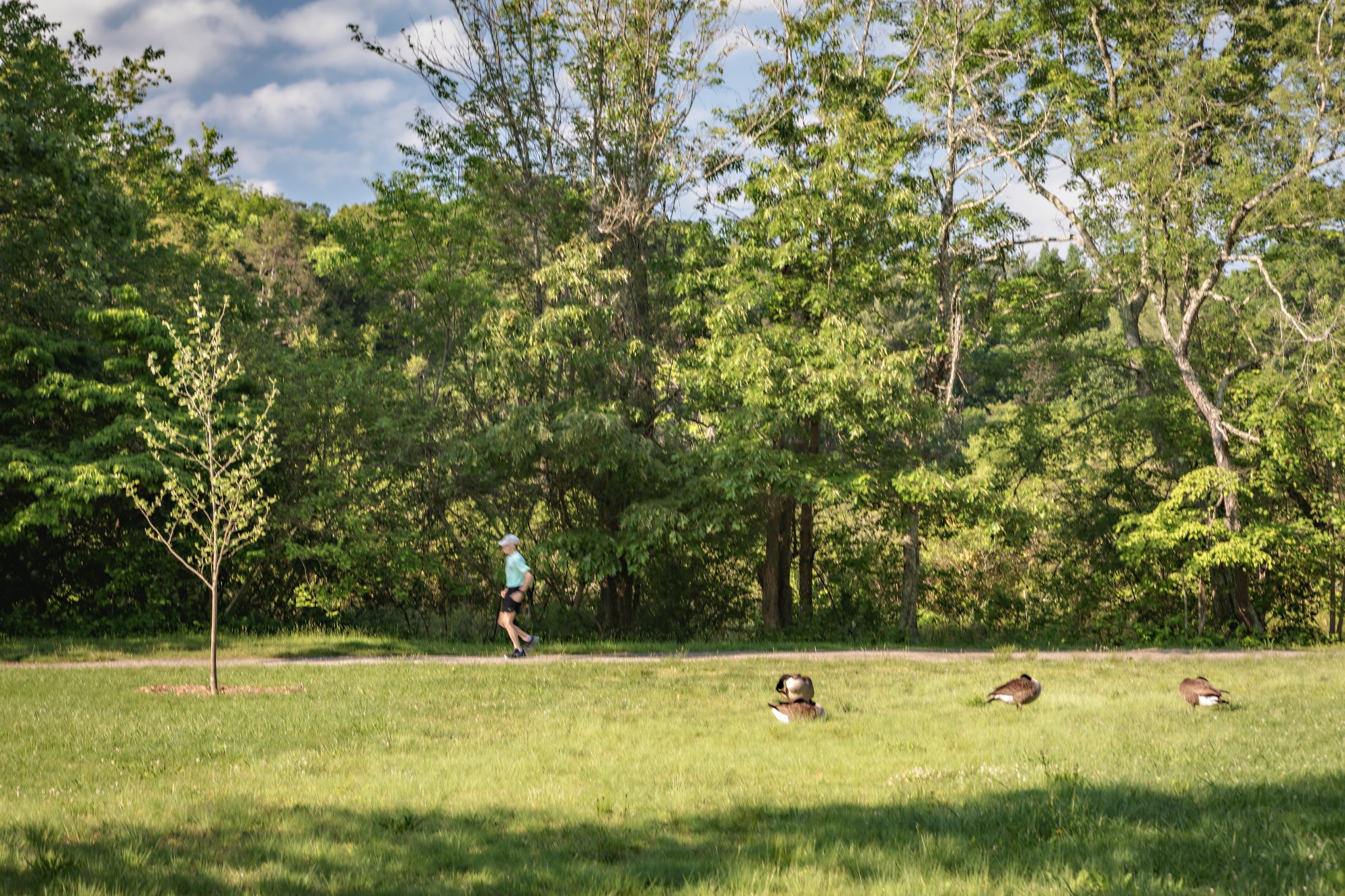 Morning jog on the Reynolds Mountain private park trails