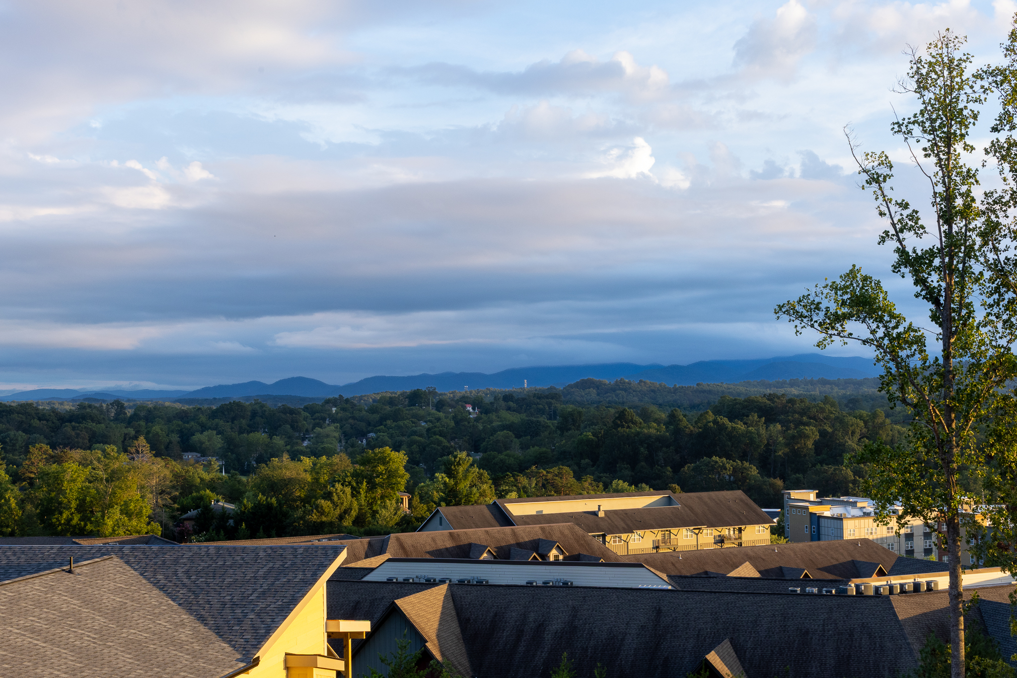 Mountain views from Reynolds Mountain
